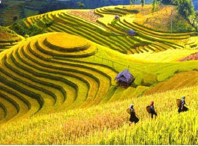 HÀ NỘI – PÙ LUÔNG – SUỐI CÁ THẦN CẨM LƯƠNG – HÀ NỘI