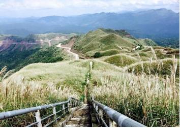 BÌNH LIÊU MÙA HOA LAU