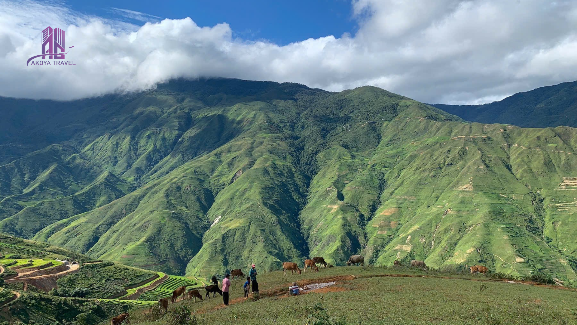 Tour Tà Xùa - Thiên đường mây chờ đón