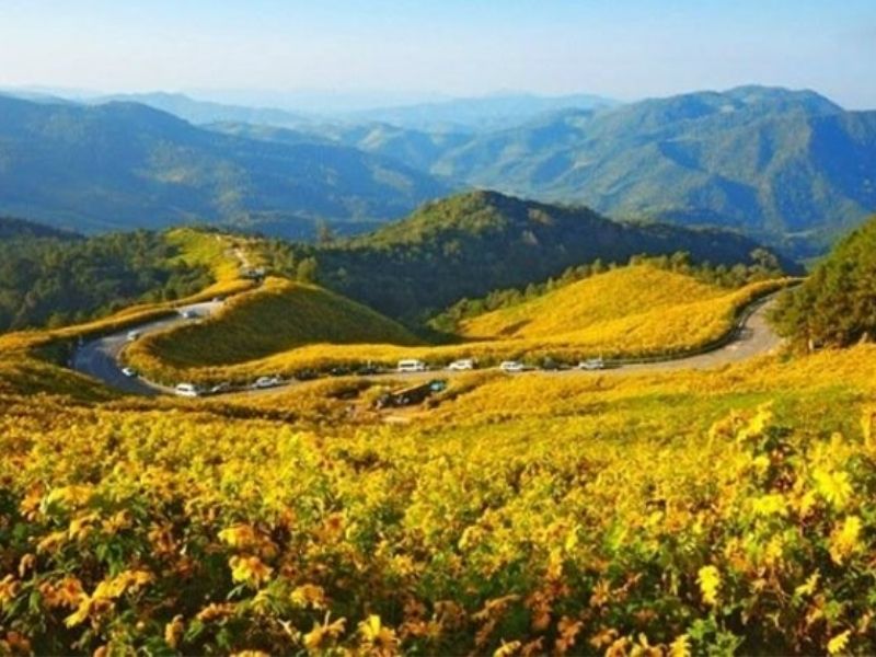 hoa-da-quy-da-lat