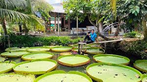 Du Lịch Cồn Sơn – Cần Thơ