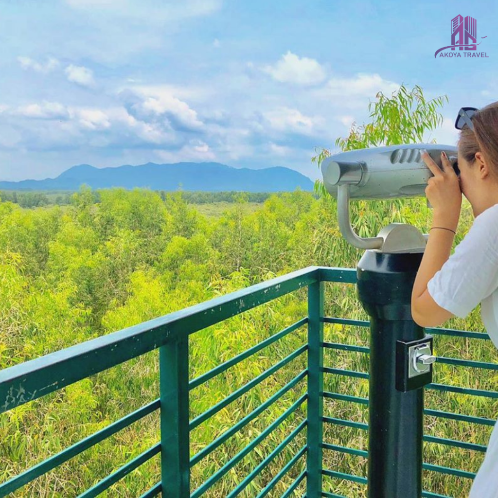 Ngắm Chim Trên Đài Quan Sát